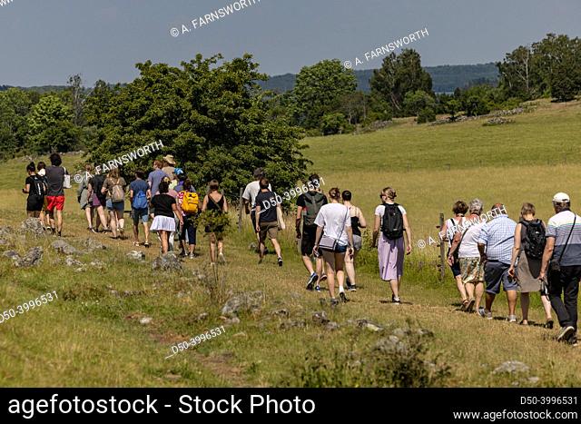 Birka, Sweden A group of tourists on a guided tour of the old Viking village