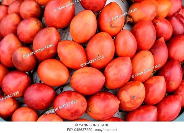 Tree tomato also known as tamarillo