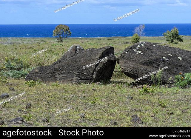 Moai in Rano Raraku, Rapa Nui National Park, Easter Island, Chile, Unesco World Heritage Site, South America