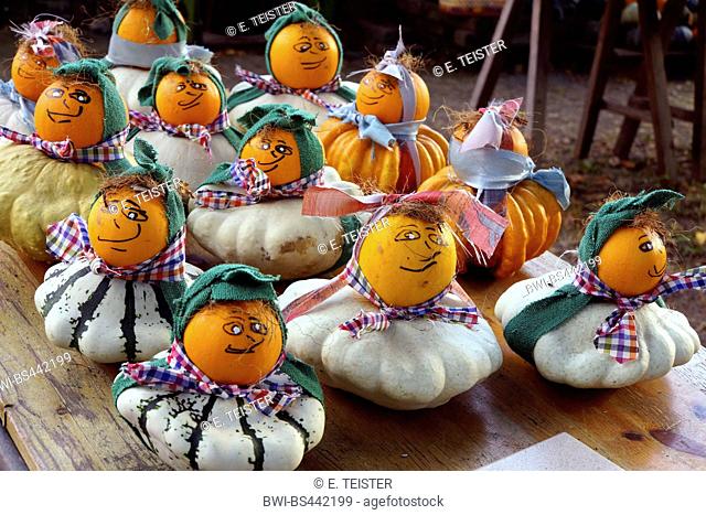 ornamental pumpkin (Cucurbita pepo convar. microcarpina), halloween oumpkins with faces, Germany, North Rhine-Westphalia