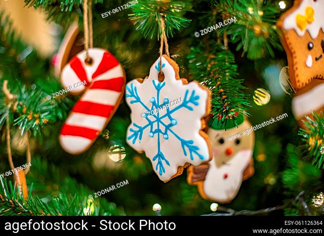 Christmas tree branch with wooden decorative toys and gingerbread homemade sweet cookie - little house on dark background, selective focus, copy space