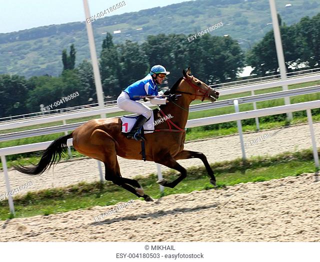 Horse racing