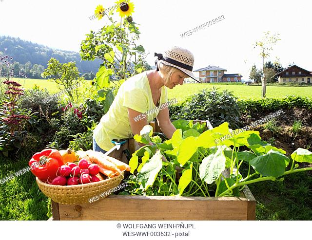 Austria, Mondsee, woman gardening