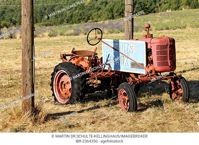 Tractor of a lavender farmer, Sault, Apt, Provence region, Département Vaucluse, France, Europe