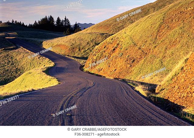 Bolinas Ridge road, toward the top of Mount Tamalpais. California, USA