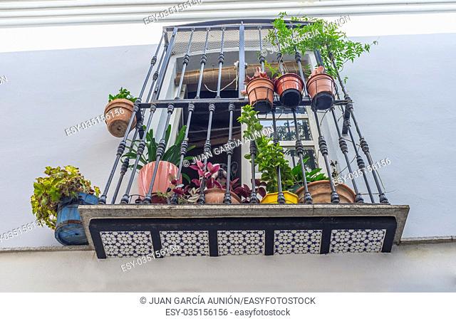 Old town balcony at Badajoz. Full of flowerspots, Spain