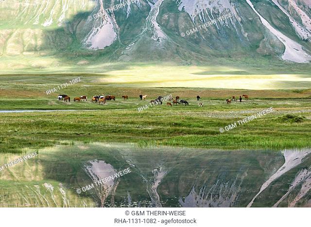 Horses in front of a mountain reflecting in water, Naryn Gorge, Naryn Region, Kyrgyzstan, Central Asia, Asia