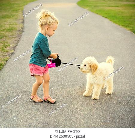 A little girl walking her Labradoodle in a park when he decides to become stubborn and uncooperative; Spruce Grove, Alberta, Canada