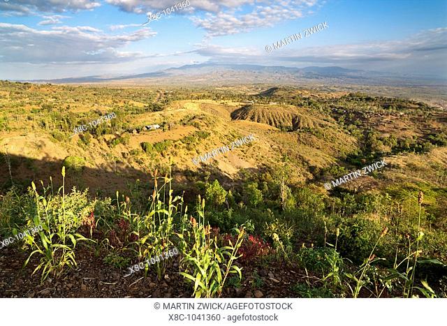 Dry farming on terraces in the steep and mountainous territory of the Konso, Rift valley   The Konso, a tribe of the Ethiopian southern nations