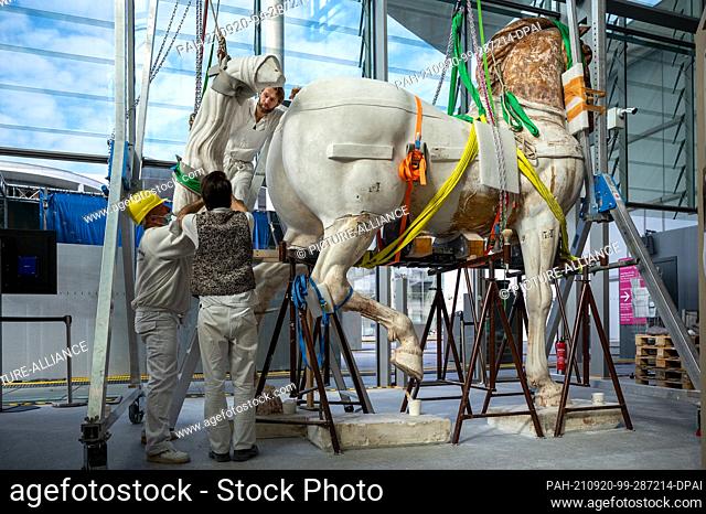 20 September 2021, Berlin: Employees of the Plaster Moulding Shop assemble the tail on the reference model of the horse from the Quadriga of the Brandenburg...
