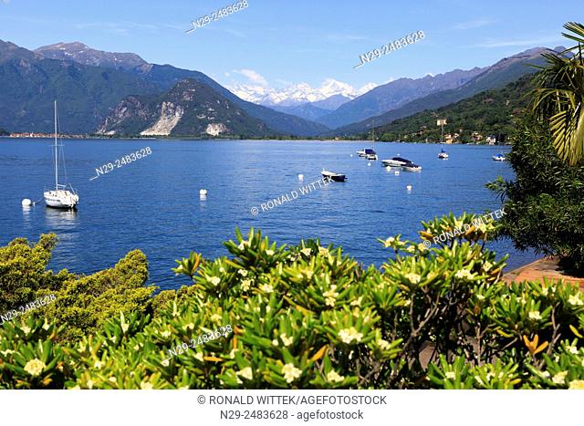 Lago Maggiore, harbor Promenade into Pallanza Verbania, Piemont, Italy