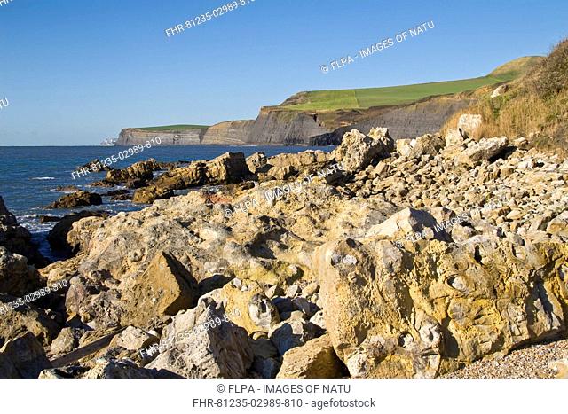 Coastline with geological rock formations and Kimmeridge clay erosion, Chapmans Pool, Dorset, England, november