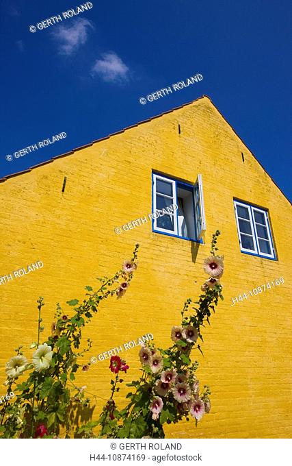 Aeroskobing, Denmark, island, isle, Aero, town, city, house, home, window, flowers, mallows, yellow house color