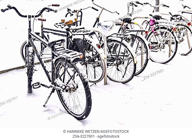 Snowed under bicycles in Eindhoven, The Netherlands, Europe