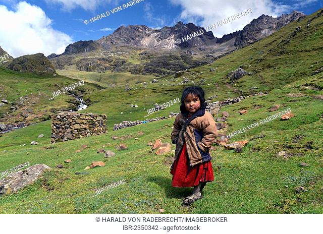 Little girl, Quechua Indian girl, in traditional clothes, Andes between La Paz and Cusco, Cuzco, border region of Bolivia and Peru, South America