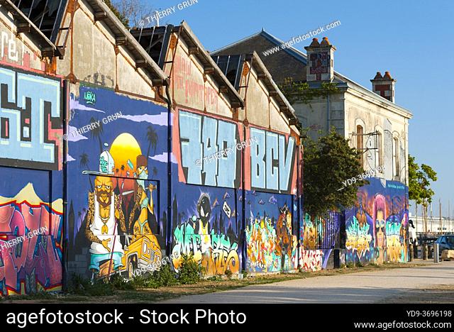 France, Charente-Maritime (17), La Rochelle, le Gabut area, old port wasteland converted in street art