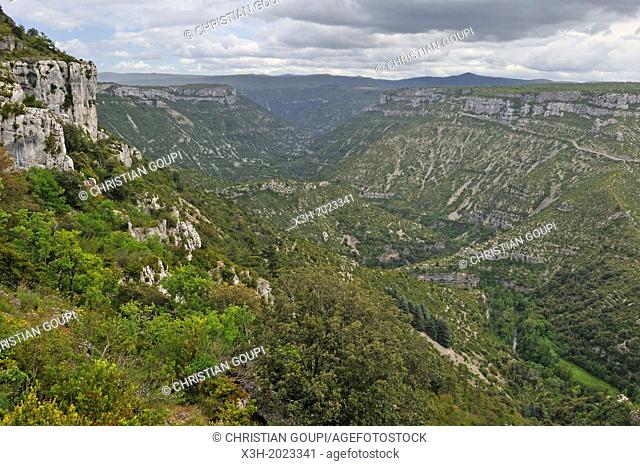 Gorges of the Vis River, located towards the southern edge of the Massif Central mountain range, Gard and Herault departments, Languedoc-Roussillon region