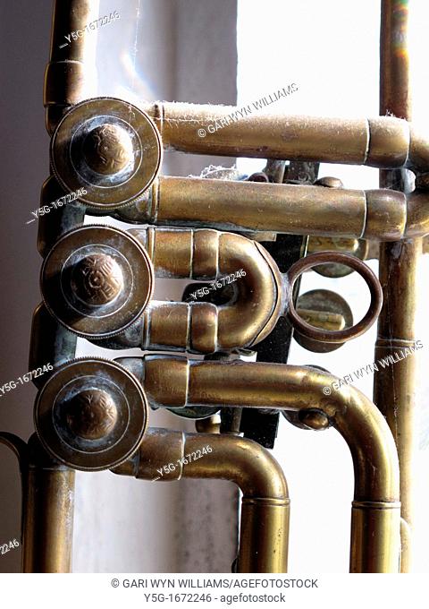 old brass horn trumpet music instrument by window