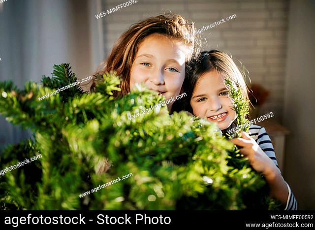 Smiling girls hiding behind Christmas tree at home