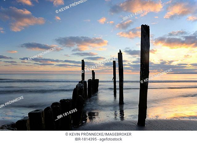Groynes on the Baltic coast, Ruegen island, Mecklenburg-Western Pomerania, Germany, Europe