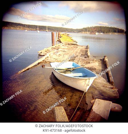 Submerged dock and rowboat on Lopez Island, Washington; shot with a Holga. USA