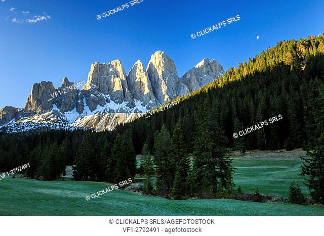 The group of Odle views from Gampen Malga at dawn. Funes Valley. Dolomites South Tyrol Italy Europe