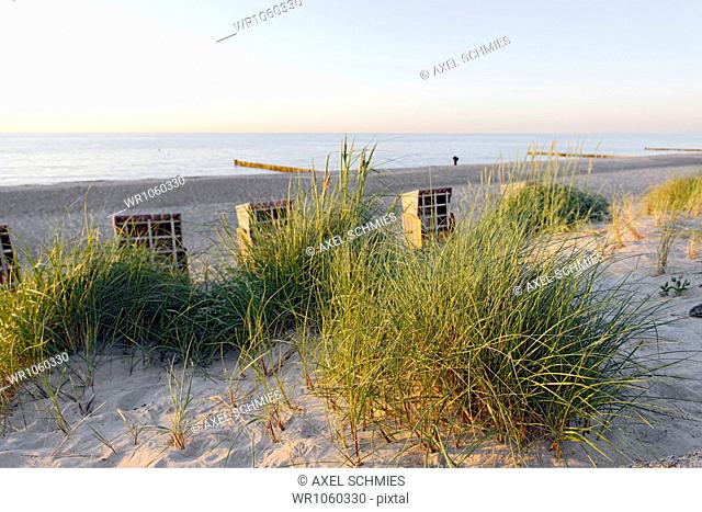 Beach grass, vegetation, beach, Baltic Sea, sunset, seaside resort of Ostseeheilbad Heiligendamm, Mecklenburg-Western Pomerania, Germany, Europe