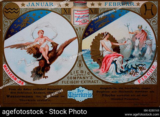 Collector's picture series The Zodiac, January and February, Aquarius and (Pisces), Historical, digital reproduction of an original from the 19th century
