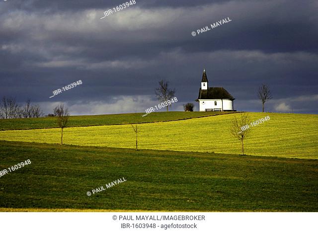 Chapel in landscape, Chiemgau, Upper Bavaria, Germany, Europe