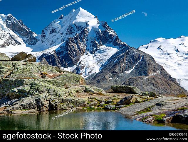 Small mountain lake on Fuorcla Surlej with Piz Roseg, Silvaplana, Bernina Alps, Upper Engadine, Engadine, Grisons, Switzerland, Europe