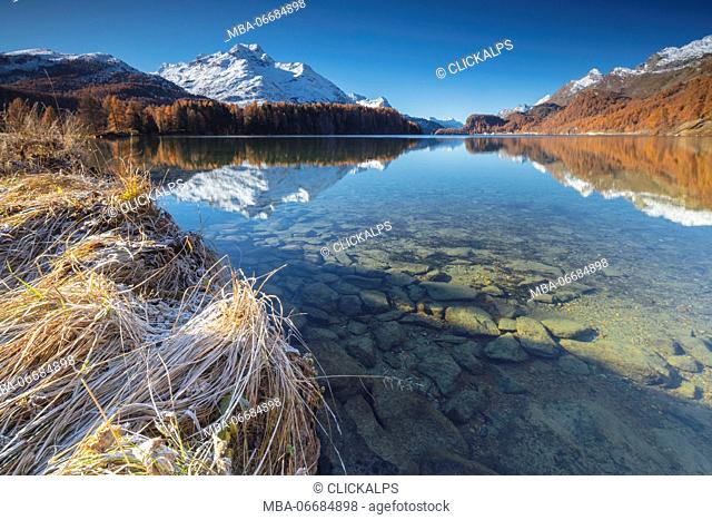 The snowy peaks and colorful woods are reflected in Lake Champfèr St.Moritz Canton of Graubünden Engadine Switzerland Europe