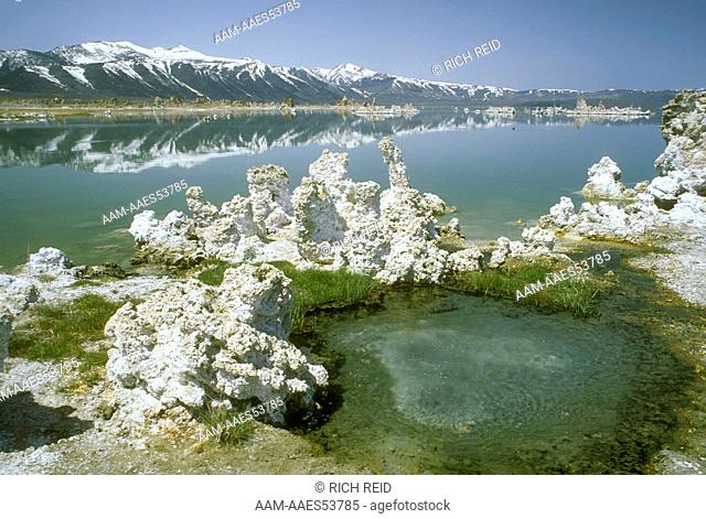 Caliche Spires Rising Out of the Lake, Mono Lake, CA, California