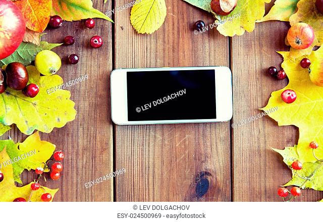 season, advertisement and technology concept - close up of smartphone in frame of autumn leaves, fruits and berries on wooden table