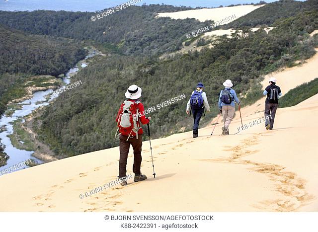 Bushwalking on Thurra Dunes, the second highest sand dune in the southern hemisphere. Croajingolong National Park, Victoria, Australia