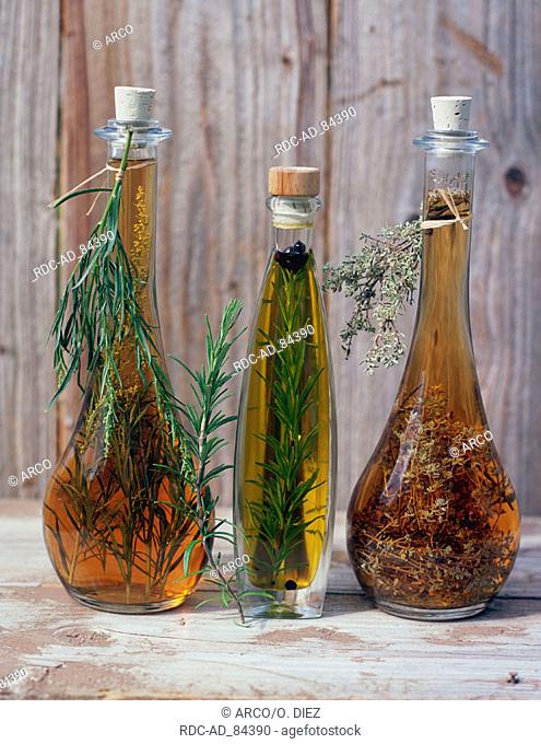 Bottles with Mugwort oil Rosemary oil and Thyme oil Flaschen mit Beifussoel Rosmarinoel und Thymianoel Beifussöl Thymianöl Rosmarinöl Kräuter