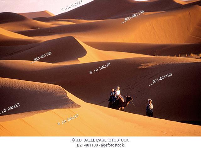 Dunes of Merzouga, south of Rissani. Tafilalet. Morocco