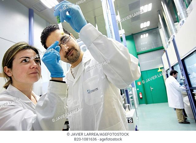 Synthesis Laboratory, CIC nanoGUNE Nanoscience Cooperative Research Center, Donostia, Gipuzkoa, Euskadi, Spain