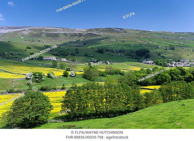 Gunnerside village in Swaledale with Brownsey Moor in the background, looking from Satron