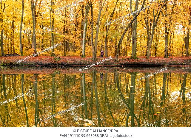 10 November 2019, North Rhine-Westphalia, Haltern am See: Walkers walk along the banks of the Stever River between autumnally discoloured trees and are...