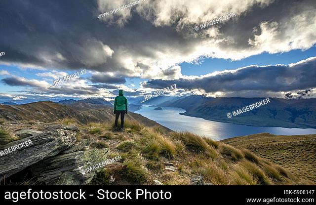 Hiker looks into the distance, view of Lake Wanaka in the evening light, lake and mountain landscape, view from Isthmus Peak, Wanaka, Otago, South Island