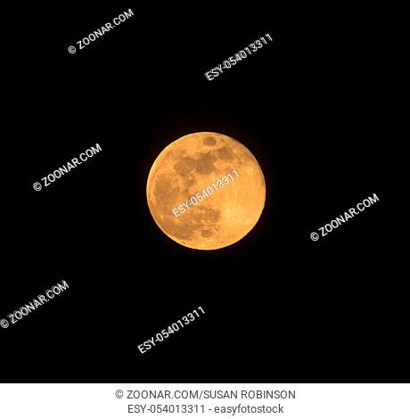 Blue Moon rising on 31 March 2018, square image with Moon isolated on black background with text or copy space