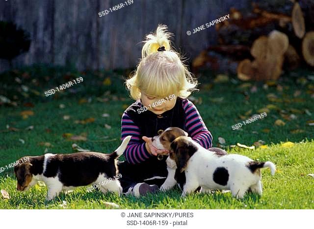 Girl sitting on a lawn playing with puppies