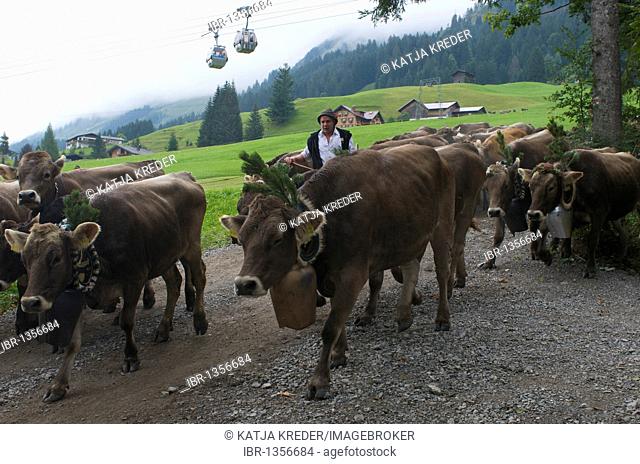 Viehscheid, celebration of the cows returning from the Alps, Riezlern, Kanzelwandbahn cable cars, Kleinwalsertal, Little Walser Valley, Allgaeu, Vorarlberg