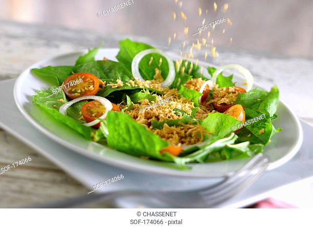 Sprinkling soya protein on a salad