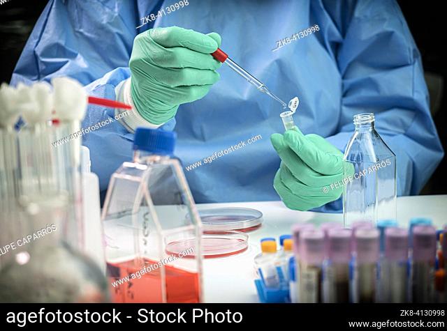Virologist working on exogenous Sars-CoV-2 virus RNA sequence in the laboratory, conceptual image