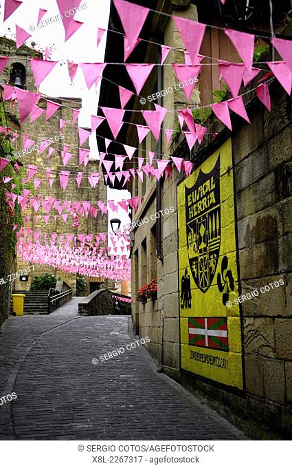 Pink bunting, Pasajes de San Juan, Basque Country, Spain