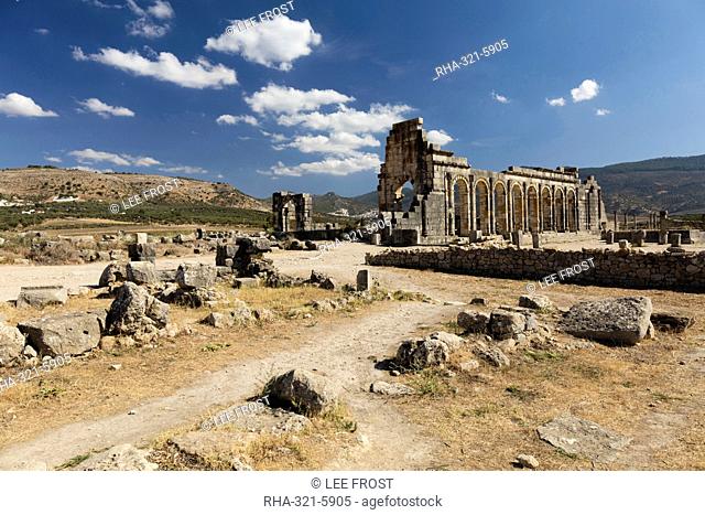 The Basilica at the Roman city of Volubilis, UNESCO World Heritage Site, near Moulay Idris, Meknes, Morocco, North Africa, Africa
