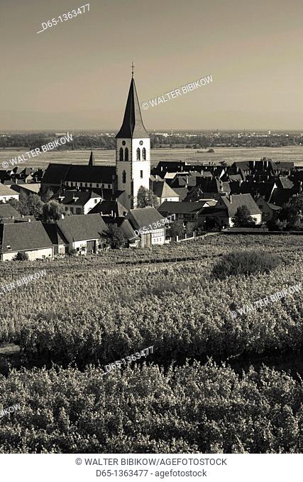 France, Haut-Rhin, Alsace Region, Alasatian Wine Route, Ammerschwihr, afternoon town view, autumn