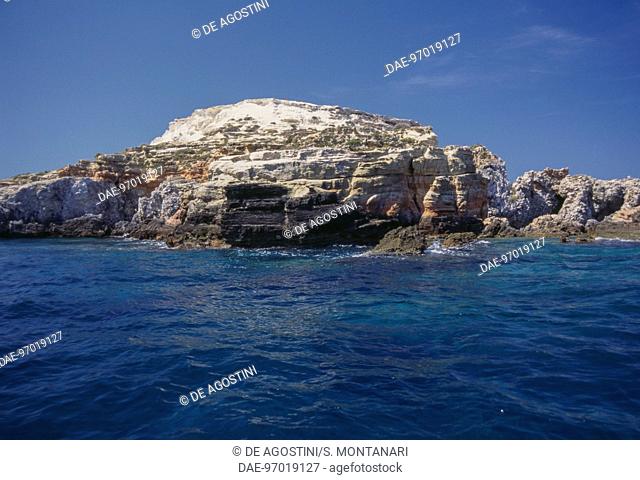 Coloured rocks of Cretaccio islet, Gargano National Park, Tremiti Islands, Apulia, Italy