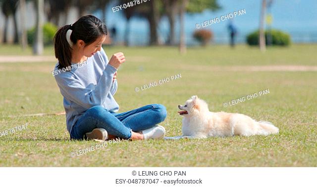 Woman taking photo on her dog at outdoor park